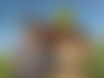 Evelyn Castro será o Burro Falante em Shrek – O Musical, que estreia em abril no Teatro Renault