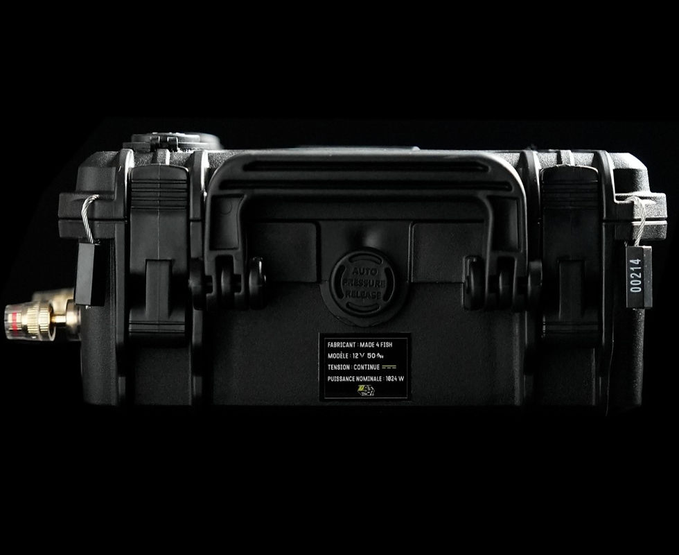 Miniature : BATTERIE LiFePo4 - 12V 50AH