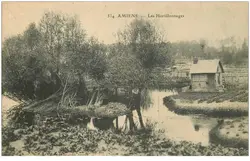 Carte Postale ancienne Hortillonnages