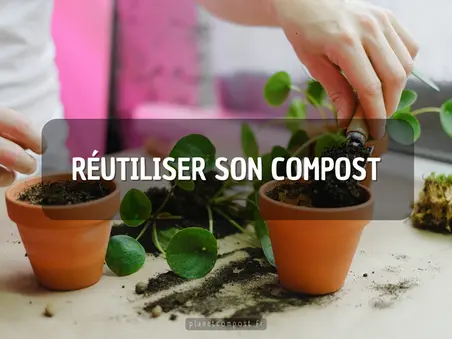 Comment réutiliser votre compost ?