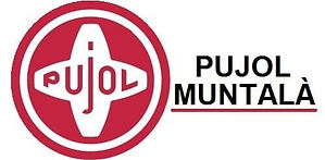 assistencia automatismo pujol