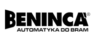 assistencia automatismo beninca