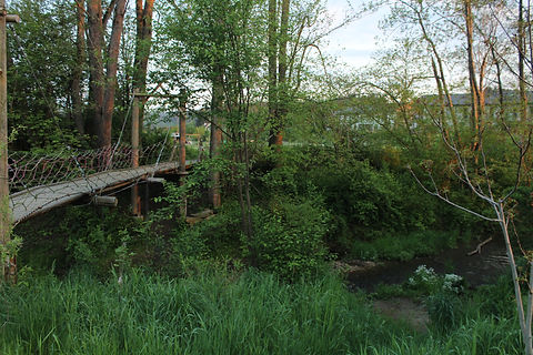 IMG_7508.JPG