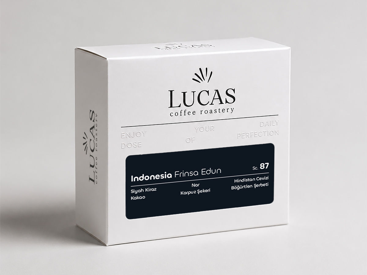 Indonesia Frinsa Edun