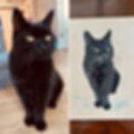 A black cat sat looking to one side.