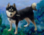 ede6e011-d457-4257-85a9-8de14d0c9ccb.jpg