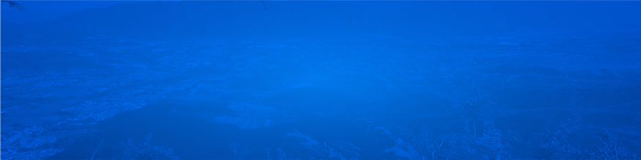 Sin título-1dss.png