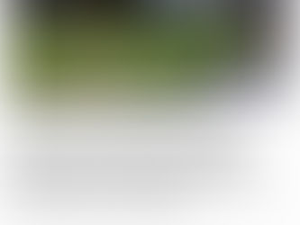 Consulta la opinión: