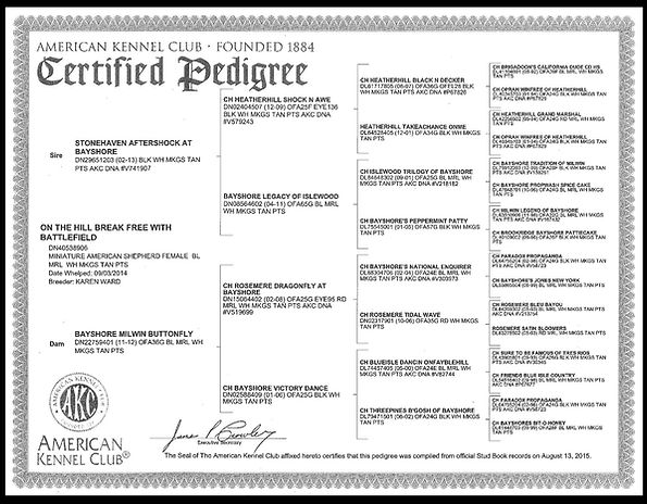 CH On the Hill Break Free with Battlefield Pedigree