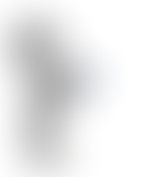 TU chiedi, PM risponde.