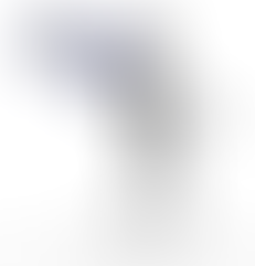 TU chiedi, PM risponde.