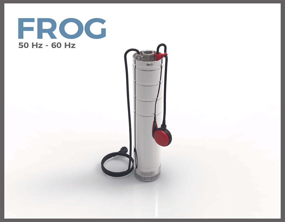 OUR FROG SERIES IS RENEWED