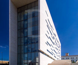 Tribunal trava eleição de Reitor da Nova: Exclusão de candidato considerada ilegal obriga a novo ato