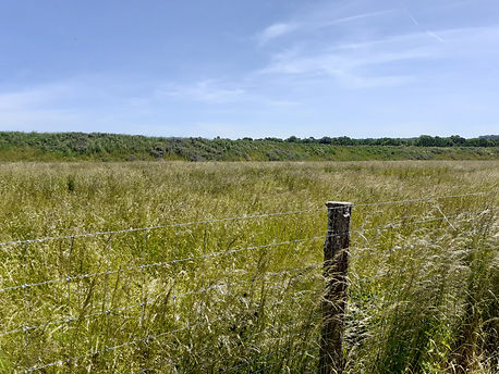 Merlon et bande 100 m vu des habitations_130155.jpg