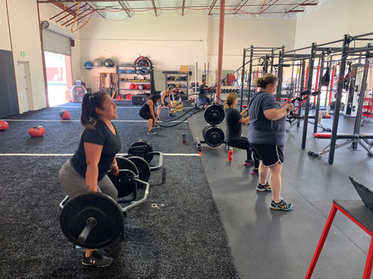 Lewis Performance Training Gym Gallery - Lewis Performance Training offers personal and small group training, fitness classes, online fitness programs, nutritional coaching, and body composition analysis.