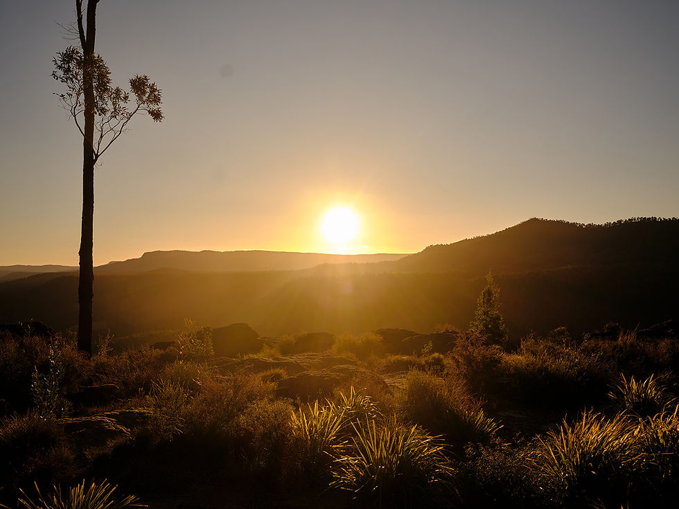 Sun setting over valley