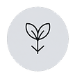 Image (24).png