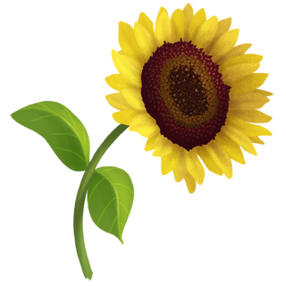 Sunflower.png