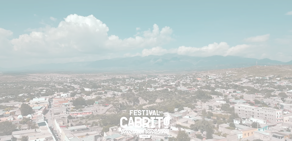 Captura de pantalla 2025-03-17 012128_edited.png