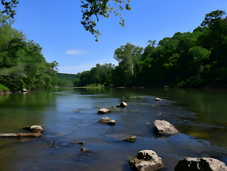 Chatt Hills Photography Contest