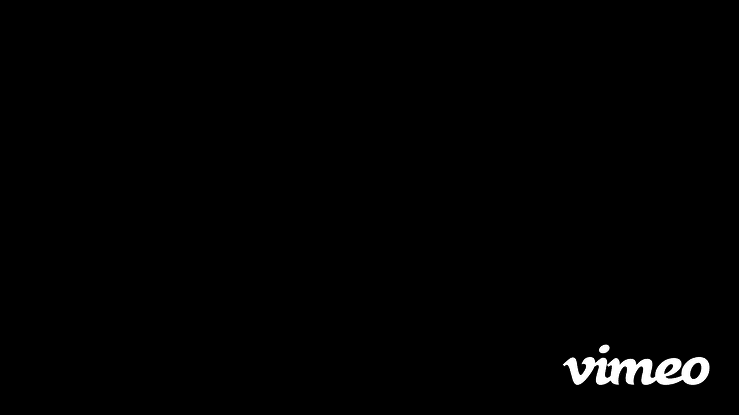 Birds Eye (Soph 2019 Animation KCAI Final)