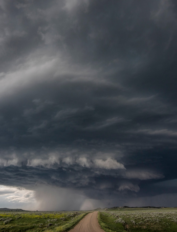Montana - 4 - 10.6.16.jpg