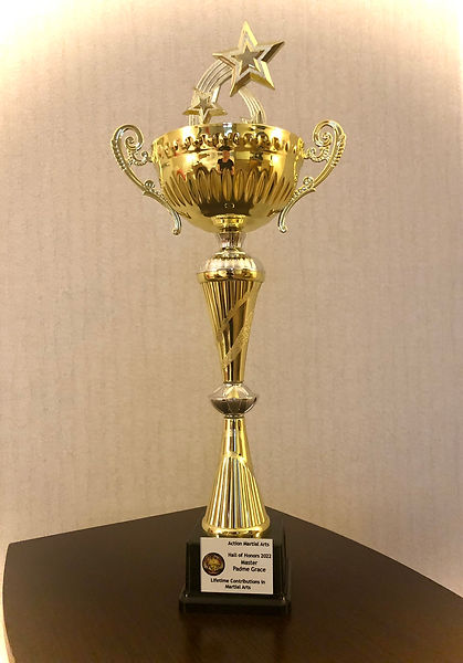lifetime contribution trophy