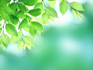 マルティナさんにお会いしました