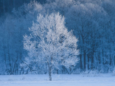 プロフィール７　虚無期