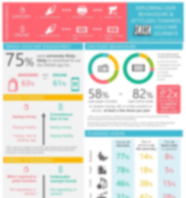 Blurred image of the infographic delivered to the client, with block colours and graphics.