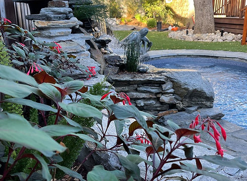 planting-and-pool.jpg planting-and-pool.jpg