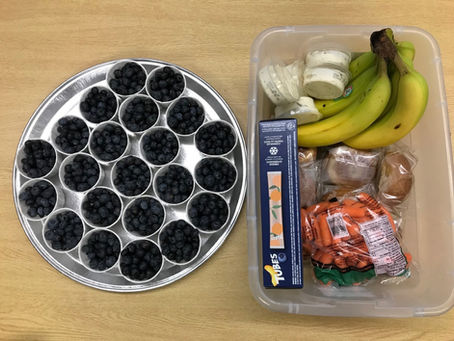 "Why we need a National School Food Program"