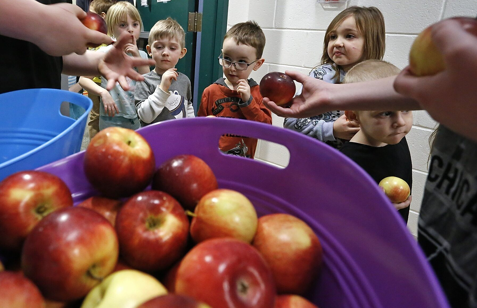 Opinion | The Great Big Crunch is a sweet celebration of healthy eating