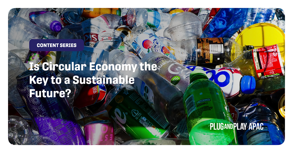 Is Circular Economy the Key to a Sustainable Future?
