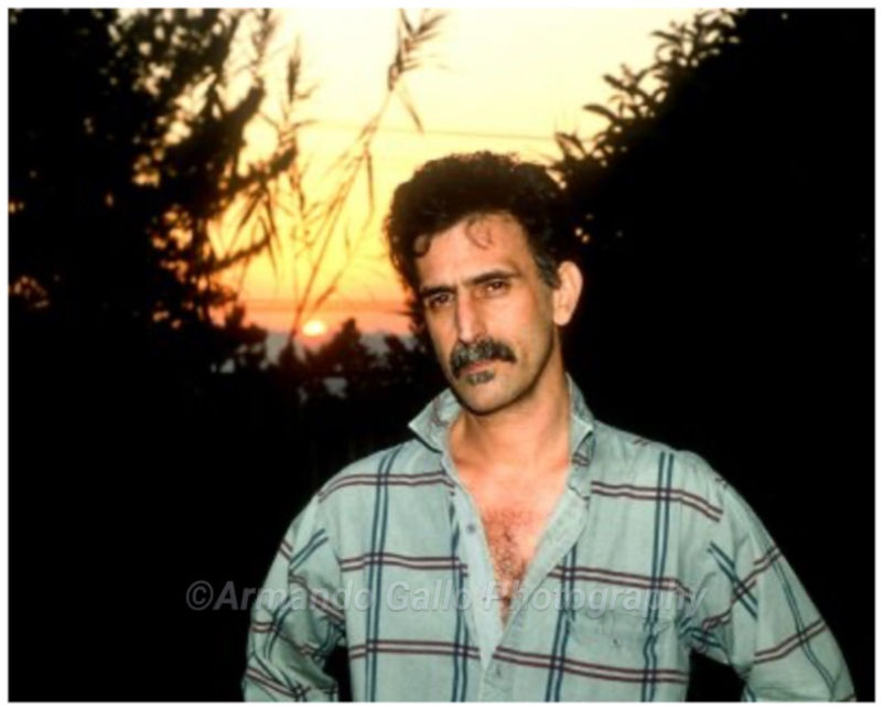 man with mustache plaid shirt middle aged dark hair with sunset and dark shadowy trees behind him
