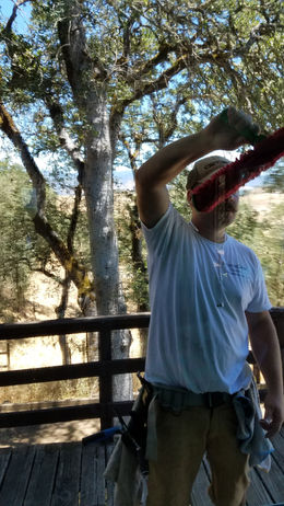 Window cleaning company.