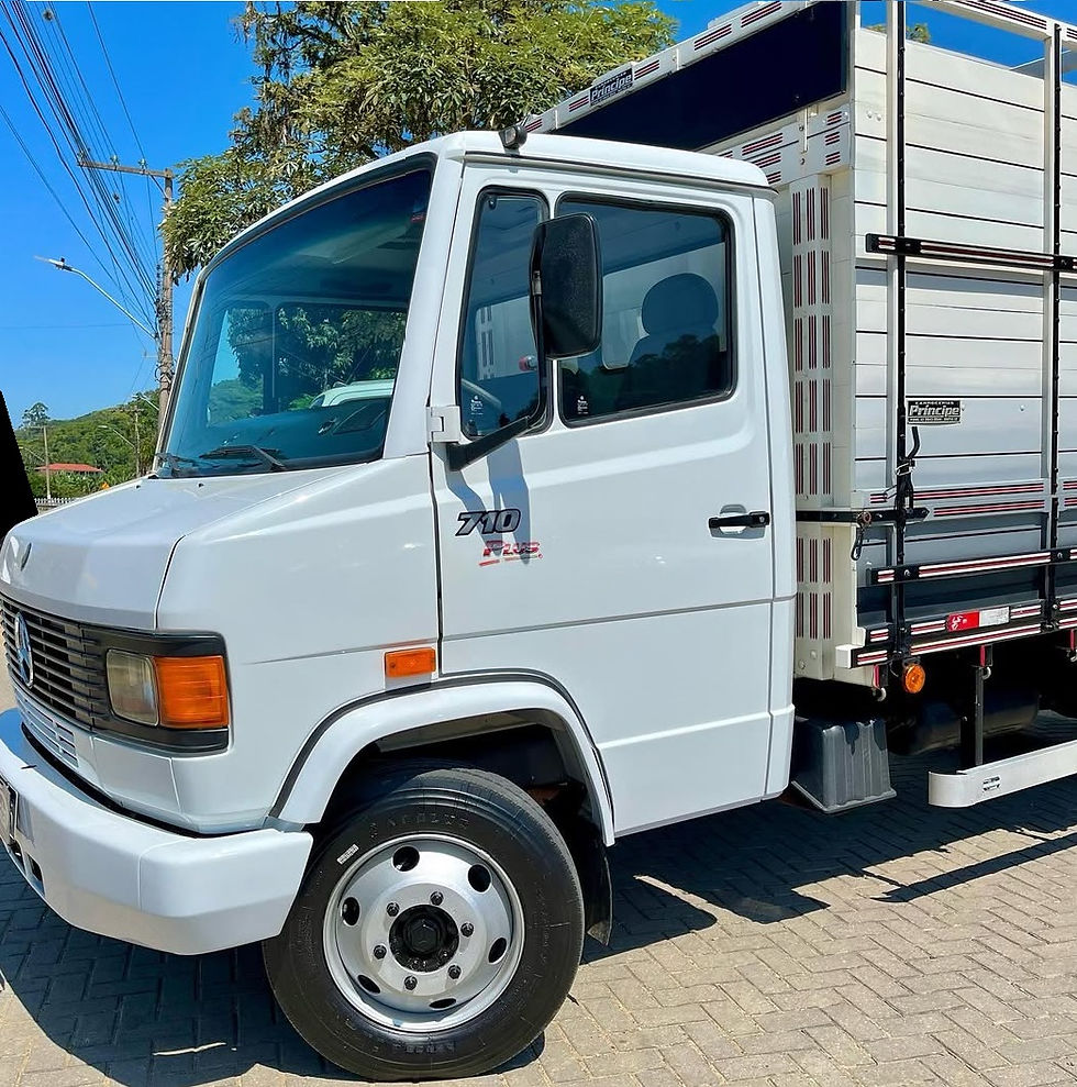 Miniatura: Mercedes-Benz 710 Plus - Ano 2010