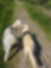 PXL_20230527_093408457.MP.jpg