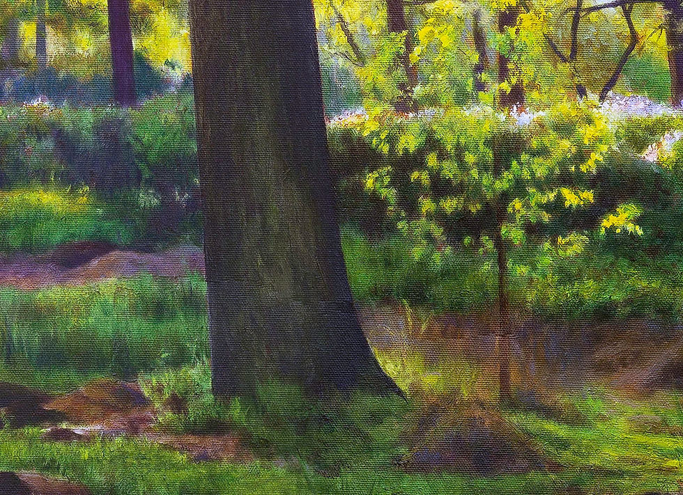 Thumbnail: Park in Bloom - Print