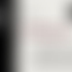 Camorra: Historical Roots and Economic Impact Over Time