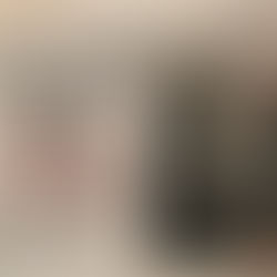 From the Mani Pulite Scandal to the Second Republic: How Berlusconi Emerged from a Corrupt System