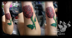 rosa