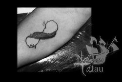 pluma