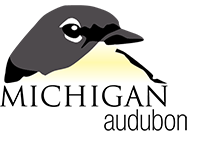 Writer: Michigan Audubon 