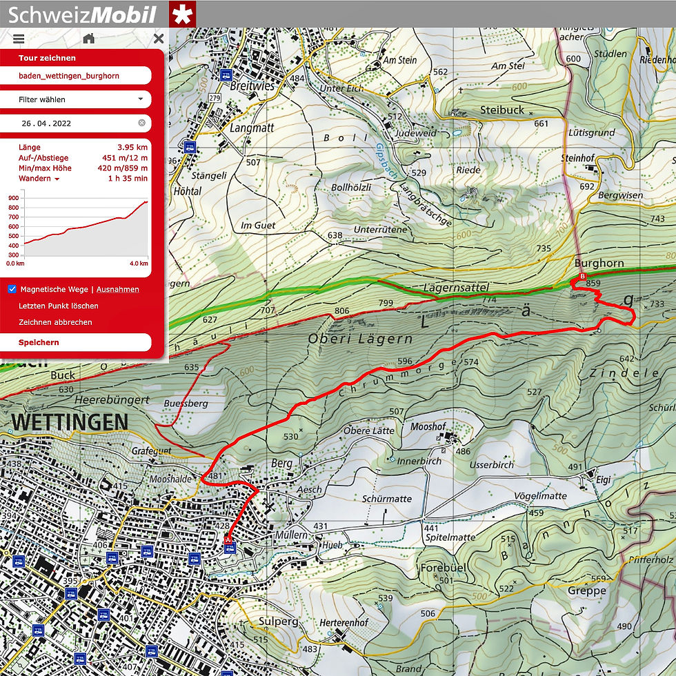 baden_wettingen_burghorn.jpeg