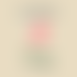 Adieu les Ballonnements : 5 Astuces Naturelles pour Retrouver un Ventre Léger