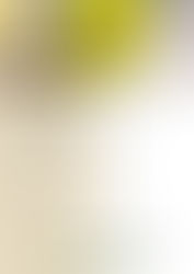 recette vinaigrette Hildegarde de Bingen