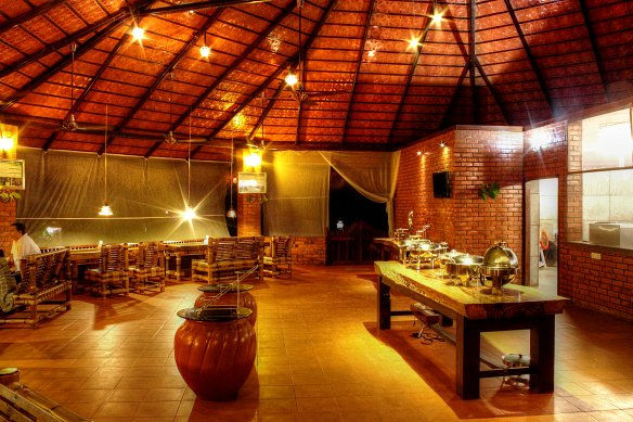 restaurant-wild