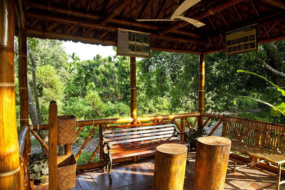 wild-woods-resort-and (1)