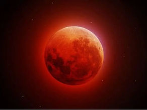Lunar Eclipse in Pisces: Let Go